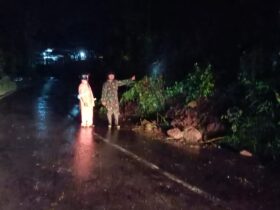 Akses Jalan Malang - Kediri tertutup material longsor akibat hujan deras di wilayah Kecamatan Kasembon dan sekitarnya. (Dok. BPBD Kabupaten Malang)
