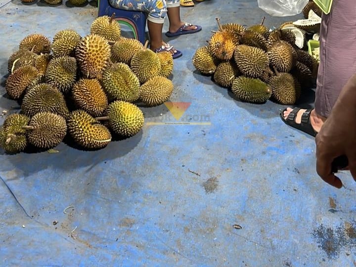 Ilustrasi Buah Durian yang saat ini memasuki musim panen (blok-a.com / Yogga Ardiawan)