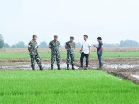 Danrem 082/CPYJ saat meninjau sawah di Desa Modongon.(blok-a.com/Syahrul Wijaya)
