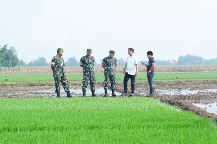 Danrem 082/CPYJ saat meninjau sawah di Desa Modongon.(blok-a.com/Syahrul Wijaya)