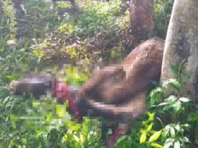 Kondisi ternak milik warga Kecamatan Gading, Probolinggo yang dicuri dan disembelih.