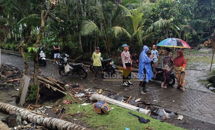 Pohon kelapa di Kecamatan Tegaldlimo Banyuwangi tumbang dan menimpa rumah warga, Senin (20/1/2025).(blok-a.com/Kuryanto)