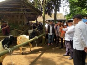 Kunjungan Bupati Malang dalam agenda ‘Sambang Desa - Gotong Royong’ di wilayah Kecamatan Tajinan, Kabupaten Malang (dok. Prokopim Kab Malang)