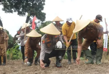 Kapolres Mojokerto AKBP Ihram Kustarto saat melaksanakan penanaman jagung serentak 1 juta hektar di Pacet.(Blok-a.com/Syahrul Wijaya)