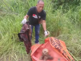 Petugas mengevakuasi penemuan tengkorak manusia di bukit jamur, Bungah, Gresik, Jumat (3/1/2024).(Istimewa)