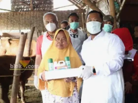 Bupati Gresik Fandi Akhmad Yani menyalurkan ribuan dosis vaksin kepada para peternak sapi (Istimewa)