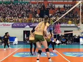 Teke foto : Gresik Petrokimia Pupuk Indonesia kalahkan Jakarta Pertamina Enduro pada Proliga 2025.(blok-a.com/Ivan)