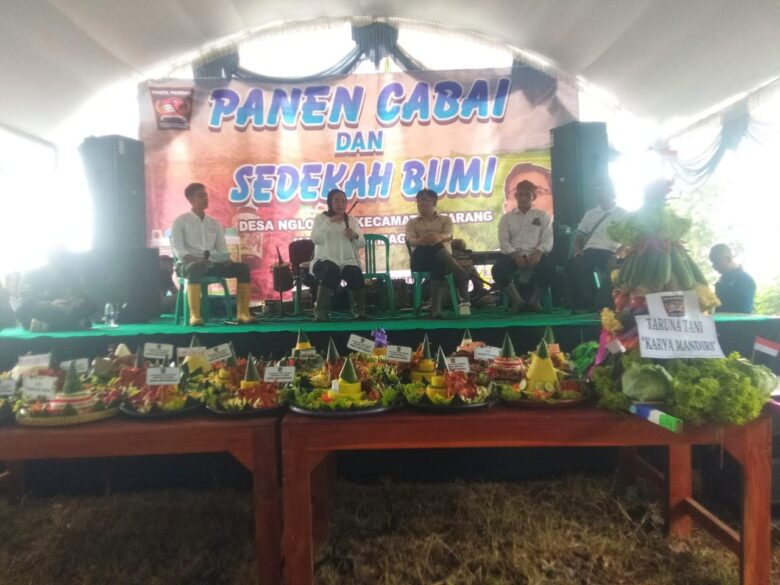 Ket Foto : Budiman Sudjatmiko saat giat panen raya cabai dan sedekah bumi di Desa Nglopang, Sabtu (22/2/2025).