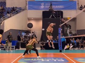 Gresik Petrokimia Pupuk Indonesia taklukkan Yogya Falcons 3-0 dalam laga PLN Mobile Proliga 2025. (Istimewa)