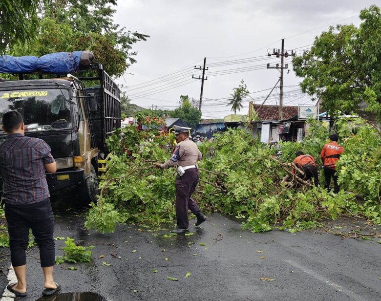 Caption : Personel Polresta Banyuwangi bersama beberapa stakeholder serta dibantu warga, saat lakukan evakuasi pohon tumbang akibat angin kencang di sejumlah wilayah di Banyuwangi, Minggu (9/2/2025)(blok-a.com/Kuryanto).