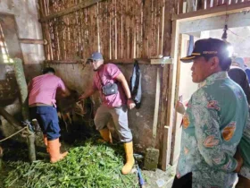 Kepala Dispangtan Kota Malang, Slamet Husnan Hariyadi saat mengecek di peternakan (dok / istimewa)