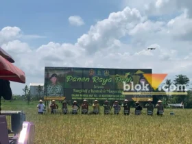Pemotongan Padi sebagai simbolis Panen Raya Divif 2 Kostrad, Kamis (27/2/2025) (blok-a/Bob Bimantara Leander)