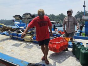 Nelayan Sendangbiru, Kecamatan Sumbermanjing Wetang, Kabupaten Malang mengambil hasil tangkapan (blok-a.com/ Putu Ayu Pratama S)