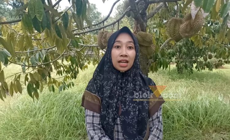 Tutik Ifadah berhasil membuat lahan dataran rendah di Gresik menjadi sebuah kebun durian.(blok-a.com/Ivan)