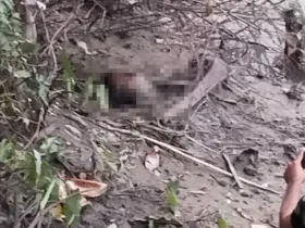 Penemuan kepala manusia di tepi Sungai Konto, Tembelang, Jombang.(dok. warga)