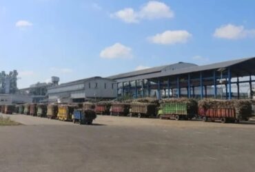 Pabrik Gula Glenmore Banyuwangi.