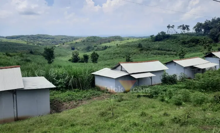 Lahan Dusun Banjarsari Desa Wonotirto, Blitar, yang dipermasalahkan. (blok-a.com/Fajar)