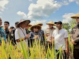 Kapolres Blitar AKBP Arif Fazlurrahman, bersama Bupati Rijanto dan jajaran Forkopimda, melaksanakan panen raya. (blok-a.com/Fajar)