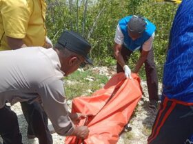 Jenazah di Kawasan JIIPE Manyar, Gresik, dievakuasi ke RSUD Ibnu Sina untuk dilakukan pemeriksaan medis.(Istimewa)