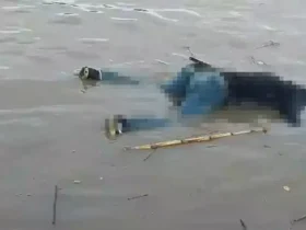 Jasad korban mengapung di Muara Bengawan Solo Ujungpangkah Gresik.(Istimewa)