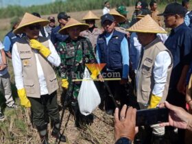 Wahyu Hidayat dan Ali Muthohirin bersama OPD Kota Malang saat panen raya di Jalan Manisa, Kecamatan Kedungkandang (blok-a.com / Yogga Ardiawan)