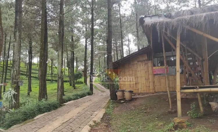 Wisata Camping dan Paralayang Sempu Sunset Hill Pasuruan.(blok-a.com/Lionita)