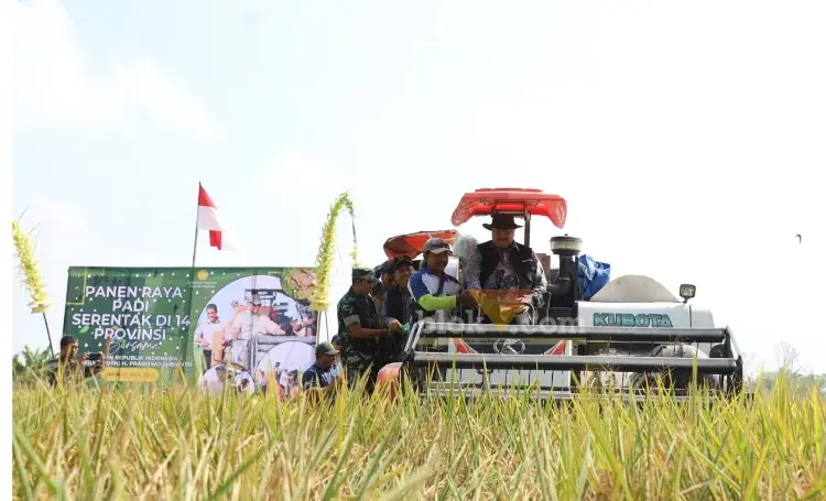 Bupati Jombang H. Warsubi ikuti kegiatan panen raya di Plosogeneng.(blok-a.com/Syahrul Wijaya)