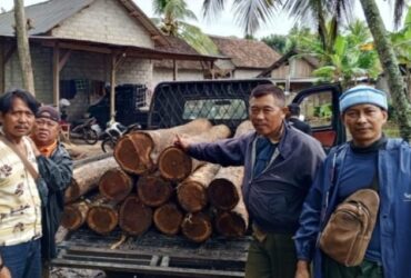 Caption : Petugas KPH Perhutani Banyuwangi selatan bersama polisi saat amankan 14 gelondong kayu jati ilegal di Desa Barurejo, Kecamatan Siliragung, Jum'at (11/4/2025)(dok dari KPH Banyuwangi selatan).