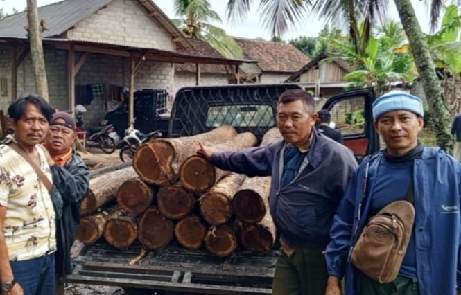 Caption : Petugas KPH Perhutani Banyuwangi selatan bersama polisi saat amankan 14 gelondong kayu jati ilegal di Desa Barurejo, Kecamatan Siliragung, Jum'at (11/4/2025)(dok dari KPH Banyuwangi selatan).