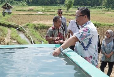 Wakil Bupati Gresik, dr. Asluchul Alif tinjau irigasi perpipaan di Pulau Bawean hasil kolaborasi antara Dinas Pertanian dan TNI AD.(Istimewa)