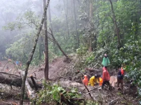 Tanah longsor menutup ruas Jalan Pacet-Cangar, Mojokerto, Kamis (3/4/2025).(dok. BPBD Kota Batu)