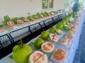 Festival Jeruk Pamelo di Kebun Buah Srogo Magetan.
