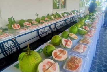 Festival Jeruk Pamelo di Kebun Buah Srogo Magetan.
