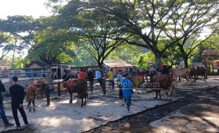 Pasar Hewan Glenmore, Kecamatan Glenmore, Banyuwangi.(blok-a.com/Kuryanto)
