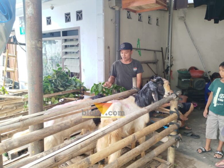 Agus, salah satu pedagang kambing yang berada di kawasan Jalan Peltu Sujono (blok-a.com / Yogga Ardiawan)