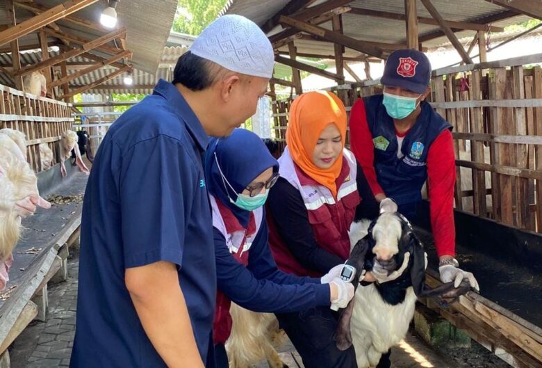 Dispertan Gresik Pantau Hewan Kurban Dari Luar Daerah.(Istimewa)