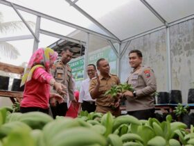 Kapolres Blitar AKBP Arif Fazlurrahman bersama PJU Polres Blitar melakukan kunjungan ke Program Ketahanan Pangan P2B Taman Toga Melati di Desa Minggirsari. (blok-a.com/Fajar)