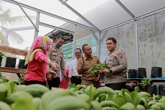 Kapolres Blitar AKBP Arif Fazlurrahman bersama PJU Polres Blitar melakukan kunjungan ke Program Ketahanan Pangan P2B Taman Toga Melati di Desa Minggirsari. (blok-a.com/Fajar)
