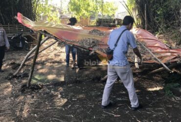 Petugas dari Polsek Sidayu membongkar tempat yang diduga digunakan arena sabung ayam di desa Wadeng, Sidayu, Gresik.(blok-a.com/ivan)