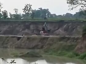 Aktivitas tambang pasir diduga ilegal di di Desa Sawen, Kecamatan Kalitidu, Kabupaten Bojonegoro yang resahkan warga.