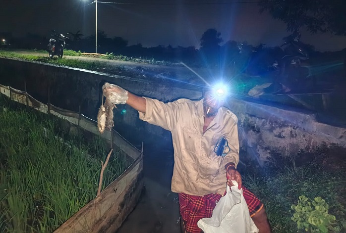 Para petani di Desa Gredek, Duduksampeyan, Gresik membasmi hama tikus dengan menggelar Festival Gropyokan massal.(Istimewa)