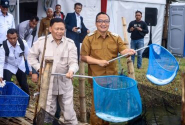 Wamen KKP RI, Didit Herdiawan Ashaf, berkunjung ke Desa Pangkahwetan, Kecamatan Ujungpangkah, Gresik, Senin (26/5/2025).(istimewa)