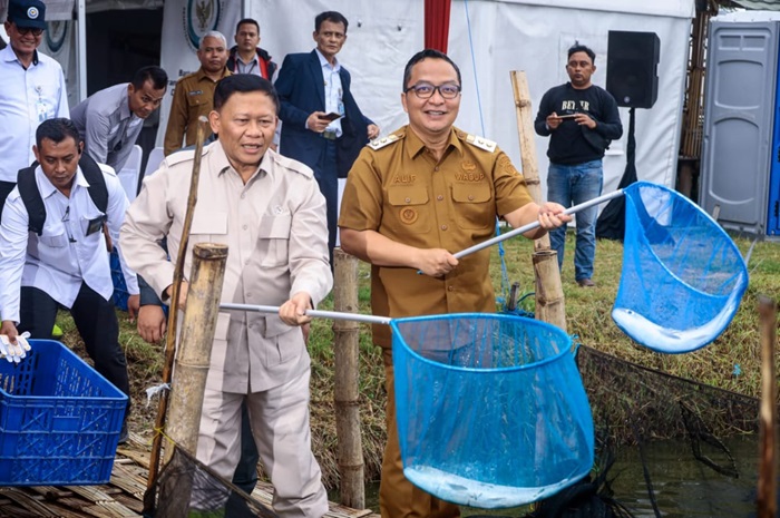 Wamen KKP RI, Didit Herdiawan Ashaf, berkunjung ke Desa Pangkahwetan, Kecamatan Ujungpangkah, Gresik, Senin (26/5/2025).(istimewa)