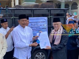Penyerahan sapi kurban dari Presiden Prabowo yang diwakilkan oleh Wali Kota Malang, Wahyu Hidayat kepada Masjid Agung Jami' Kota Malang. (blok-a.com / Berril Labiq)