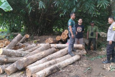 Pengamanan 54 gelondong kayu jati ilegal, Minggu (22/6/2025).(dok Polsek Tegaldlimo untuk blok-a.com)