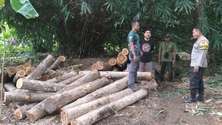 Pengamanan 54 gelondong kayu jati ilegal, Minggu (22/6/2025).(dok Polsek Tegaldlimo untuk blok-a.com)