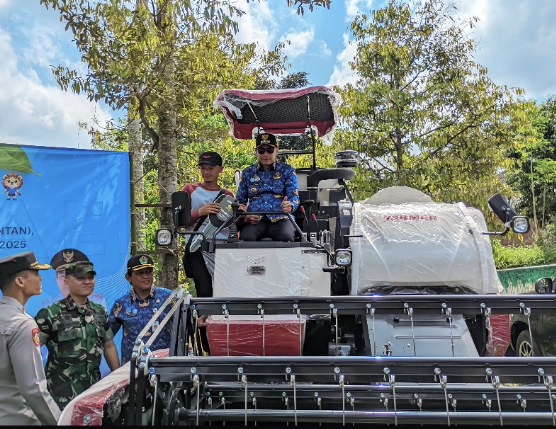 Wali Kota Malang, Wahyu Hidayat saat mencoba meskn memanen padi (istimewa)