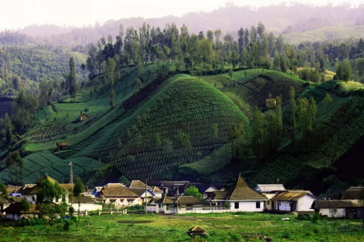 Keindahan alam desa wisata Ranupani Lumajang (foto: gnfi)