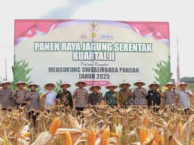 Polres Blitar menggelar panen jagung yang berlangsung di lahan jagung di samping Mapolres Blitar. (blok-a.com/Fajar)