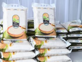 Beras Biofortifikasi Sunwangi, Banyuwangi. (Istimewa)